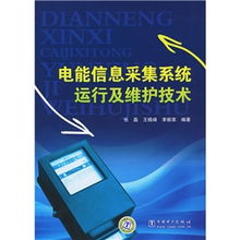 電能信息采集系統(tǒng)運(yùn)行及維護(hù)技術(shù) 信息系統(tǒng)運(yùn)行維護(hù)服務(wù)的關(guān)鍵實(shí)踐